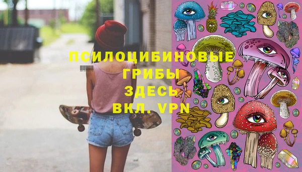 спиды Снежногорск