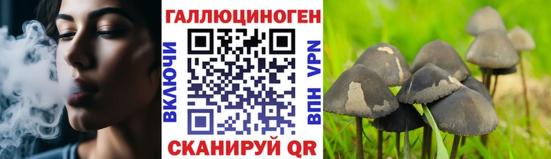 Купить где  Яблоновский  Псилоцибиновые грибы Cubensis 